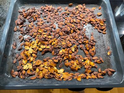 roasted seeds in pan