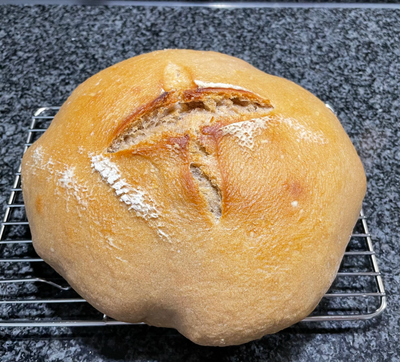 fresh out of the oven