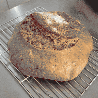 sunflower loaf