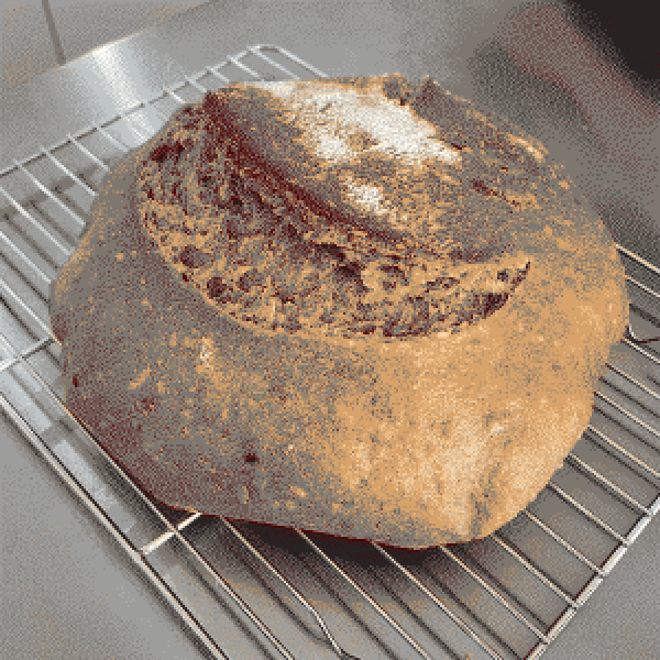 sunflower loaf