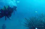 Museo Atlantico